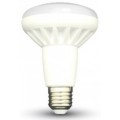 R80 LED Light Bulbs