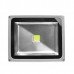 30W (300W Halogen Equivalent) LED Low Energy Floodlight - Daylight - Cheap Light Bulbs